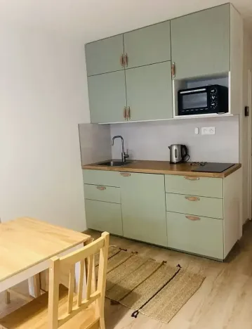 Pronájem bytu 1+kk, Praha - Vršovice, Kubánské náměstí, 25 m2
