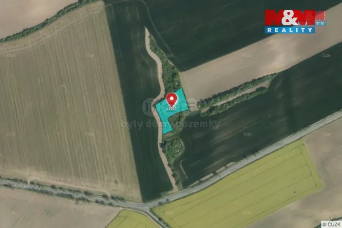 Prodej lesa, Kočí, 5803 m2