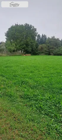 Prodej pozemku, Králova Lhota - Laziště, 2640 m2