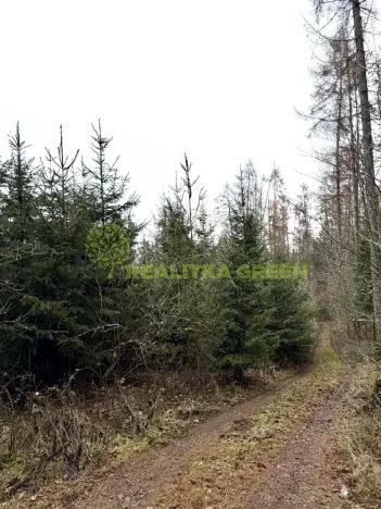 Prodej lesa, Konice, 3343 m2