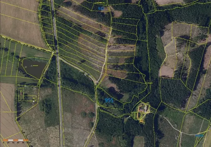 Prodej lesa, Česká Bělá, 7690 m2