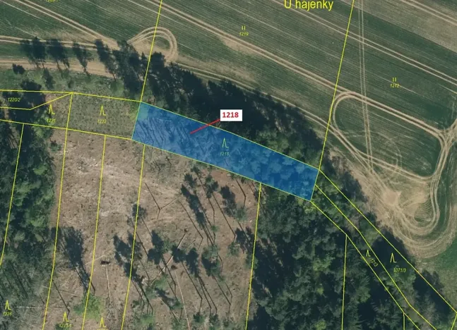 Dražba lesa, Vilice, 1352 m2