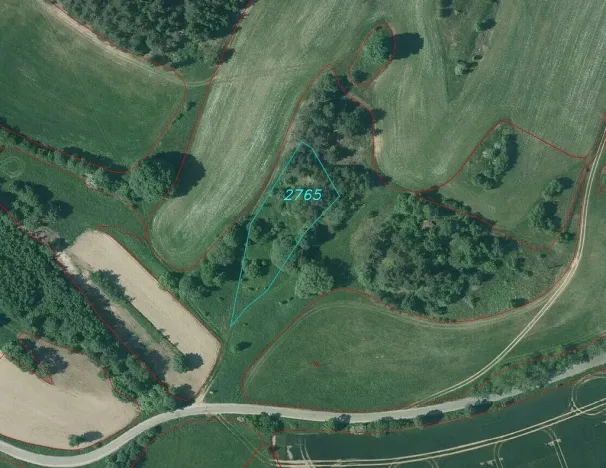 Prodej pozemku, Slavonice - Stálkov, 1831 m2