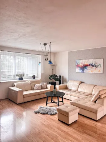 Prodej rodinného domu, Přerov, Svépomoc III, 250 m2