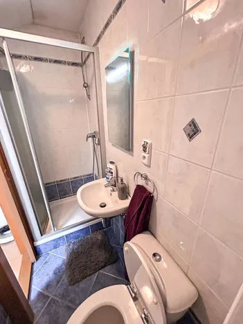 Prodej rodinného domu, Přerov, Svépomoc III, 250 m2