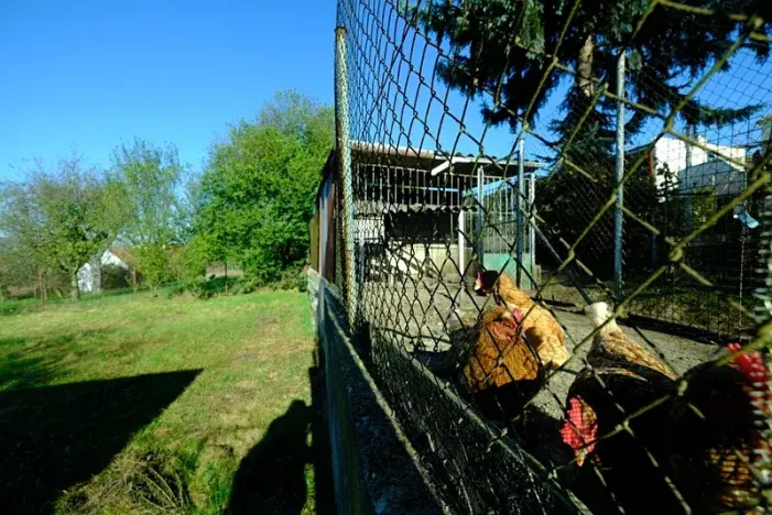 Pronájem rodinného domu, Uherský Brod, 110 m2