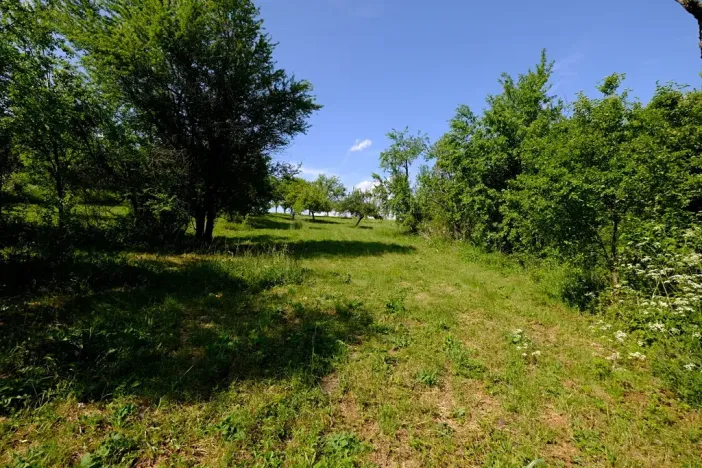 Prodej zahrady, Uherský Brod, 2032 m2