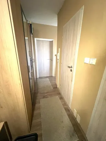 Prodej bytu 3+1, Plzeň, Bzenecká, 65 m2