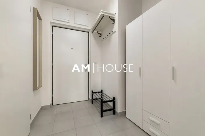 Pronájem bytu 1+kk, Praha - Žižkov, Olgy Havlové, 38 m2