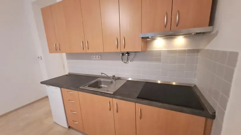 Pronájem bytu 1+kk, Praha - Braník, Pod vinohradem, 27 m2