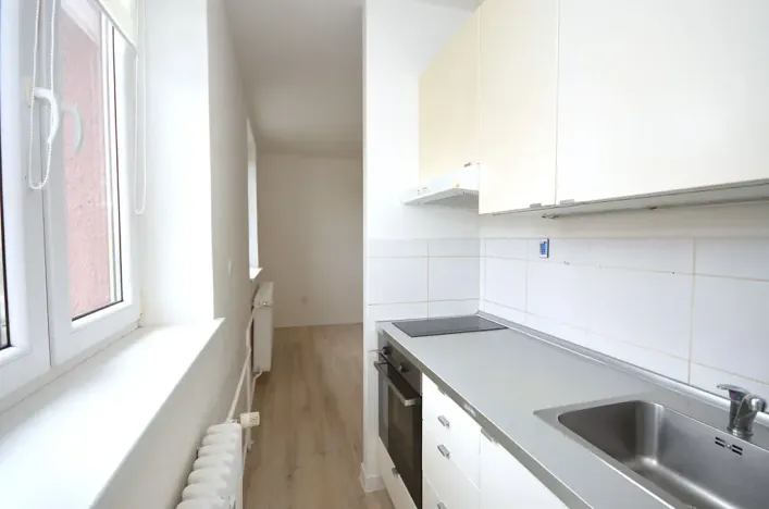 Pronájem bytu 1+kk, Frýdek-Místek, Bruzovská, 30 m2
