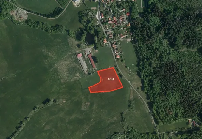 Prodej louky, Žlebské Chvalovice, 4844 m2