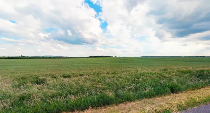 Prodej pole, Kouty, 29924 m2