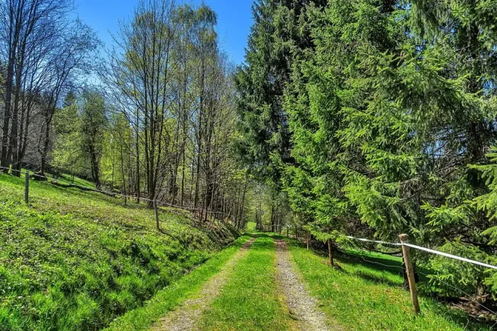 Prodej pozemku pro bydlení, Vítkovice, 21708 m2