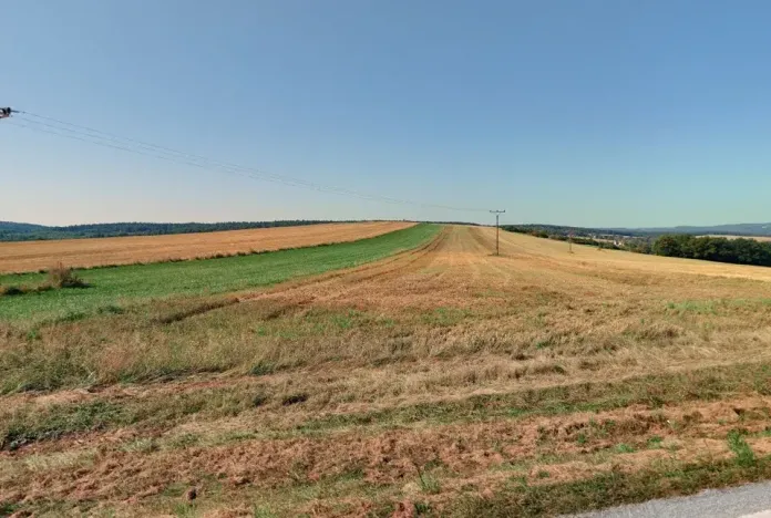 Prodej pole, Plasy, 15688 m2