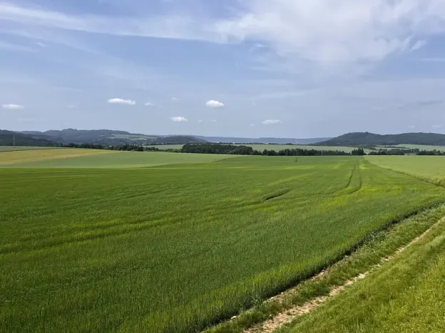 Prodej rodinného domu, Gruna, 851 m2