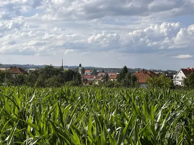 Prodej pozemku pro bydlení, Velká Bíteš, Masarykovo náměstí, 4468 m2