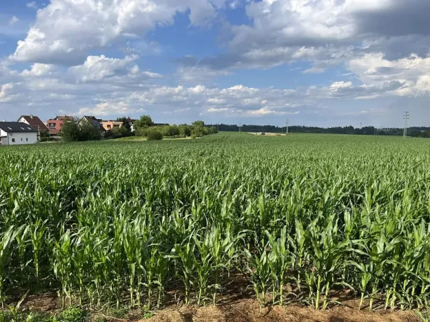 Prodej pozemku pro bydlení, Velká Bíteš, Masarykovo náměstí, 4468 m2