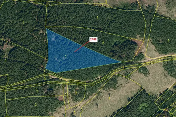 Dražba lesa, Kateřinice, 10174 m2