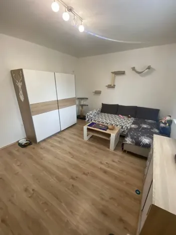 Pronájem bytu 2+1, Zlín, Padělky III, 68 m2