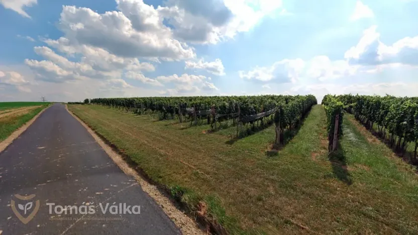 Prodej pole, Čejkovice, 25676 m2
