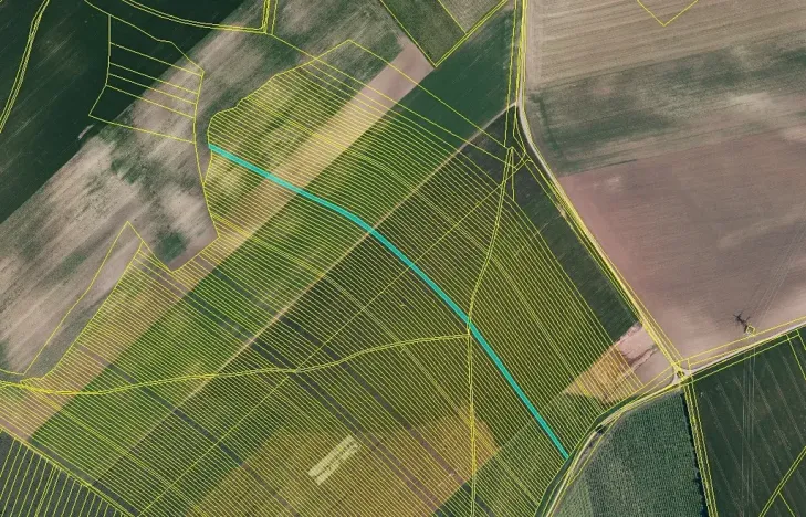 Prodej pole, Čejkovice, 25676 m2