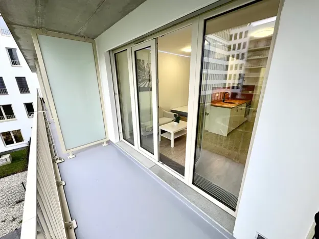 Pronájem bytu 1+kk, Brno, Trnitá, 27 m2