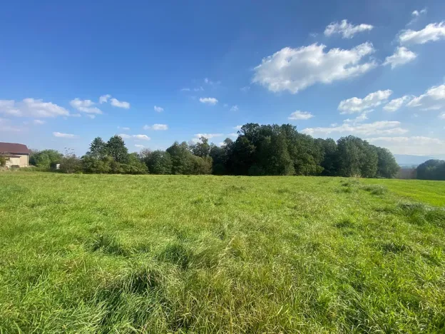 Prodej rodinného domu, Horní Bludovice, 524 m2