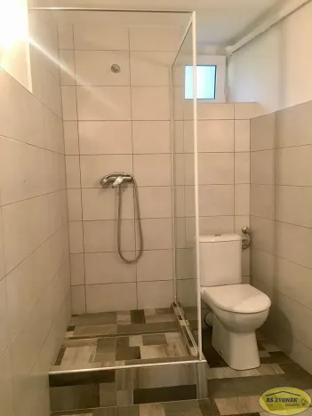Pronájem bytu 1+1, Šternberk, Lesní, 50 m2