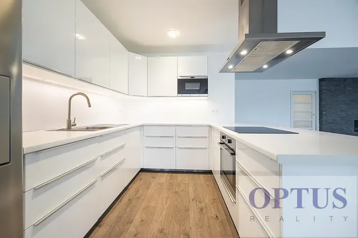 Pronájem bytu 6+kk a větší, Praha - Staré Město, Dušní, 218 m2