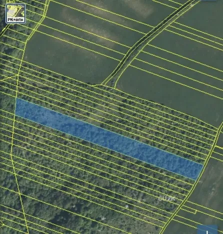 Dražba lesa, Šarovy, 11619 m2