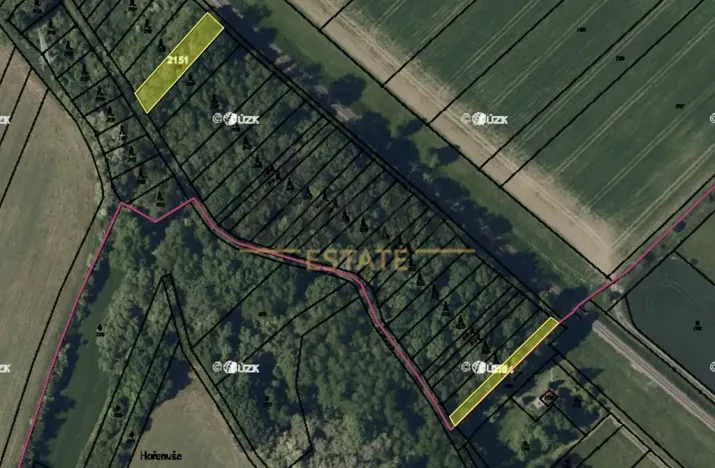 Prodej lesa, Bezměrov, 1621 m2