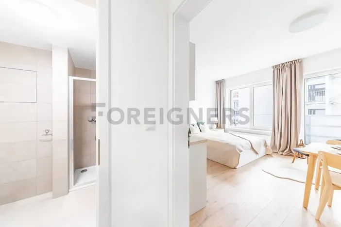 Pronájem bytu 1+kk, Brno, Spolková, 31 m2