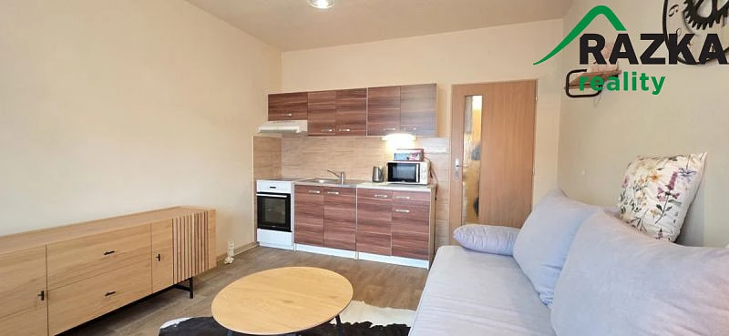 Pronájem bytu 1+kk, Tachov, Bělojarská, 25 m2