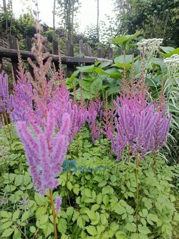 Prodej rodinného domu, Rudník, 245 m2