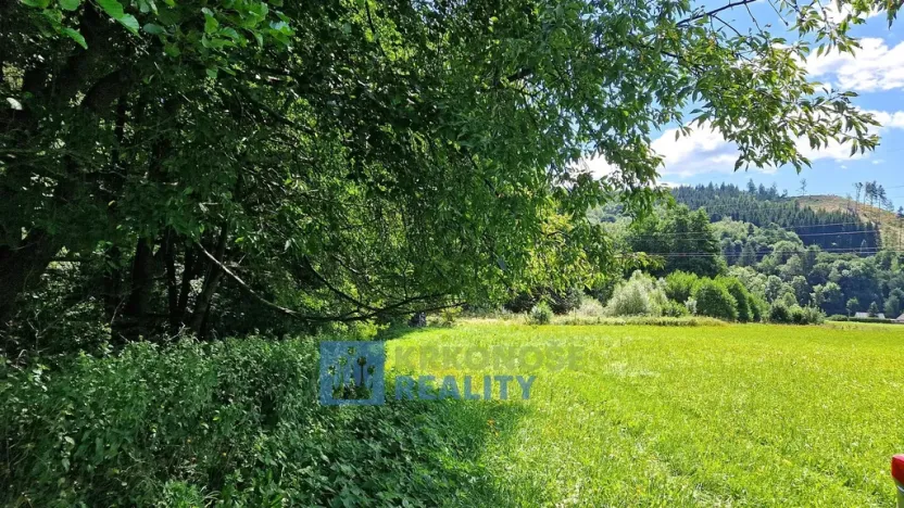 Prodej louky, Trutnov - Babí, 68585 m2