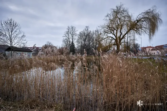 Pronájem bytu 1+kk, Praha - Dolní Měcholupy, Na návsi, 37 m2