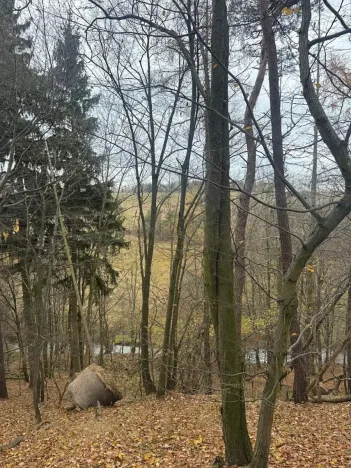 Prodej lesa, Otinoves, 1464 m2