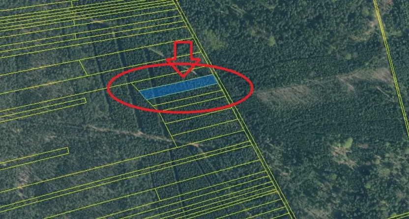 Prodej lesa, Dvory nad Lužnicí, 3483 m2