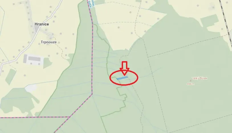 Prodej lesa, Dvory nad Lužnicí, 3483 m2