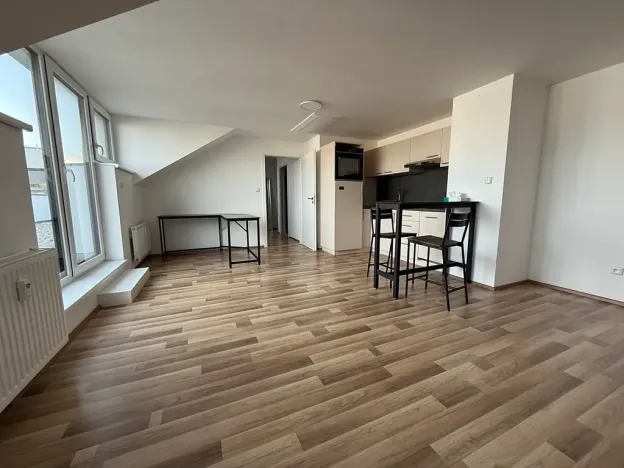 Pronájem bytu 1+kk, Brno, Táborská, 48 m2