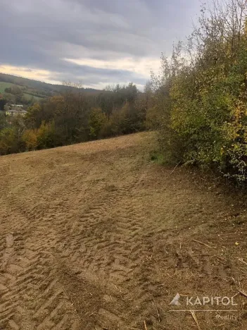 Prodej louky, Bohuslavice u Zlína, 3678 m2