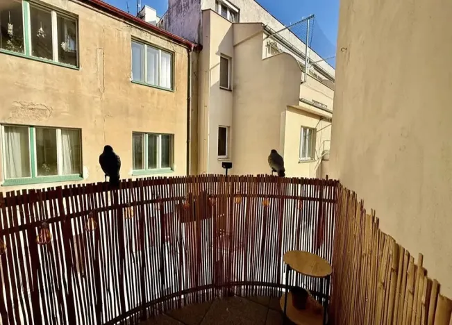 Pronájem bytu 2+1, Praha - Holešovice, U smaltovny, 70 m2