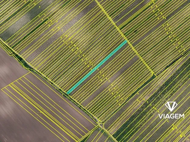 Prodej podílu pole, Rakvice, 689 m2