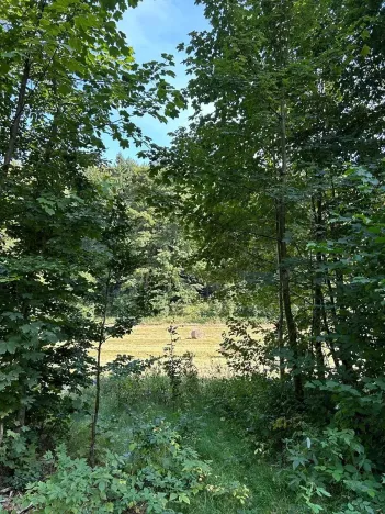 Dražba pozemku, Krompach, 21972 m2