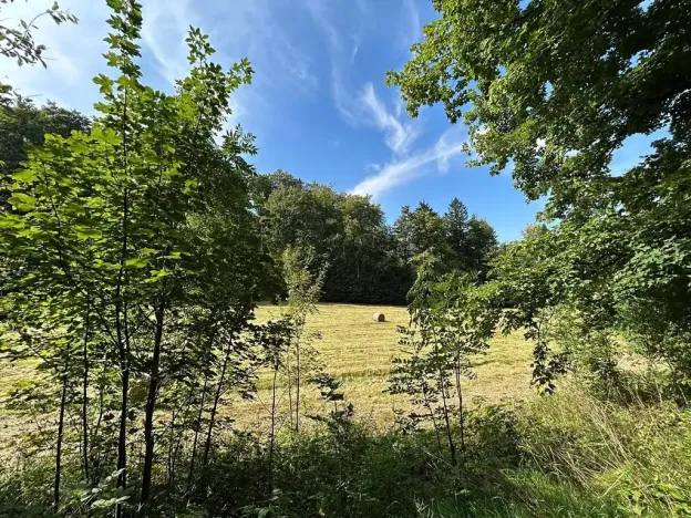 Dražba pozemku, Krompach, 21972 m2