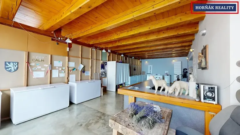 Prodej rodinného domu, Bučovice, Slovenská, 900 m2