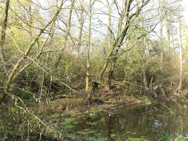 Dražba pozemku, Otrokovice, 810 m2