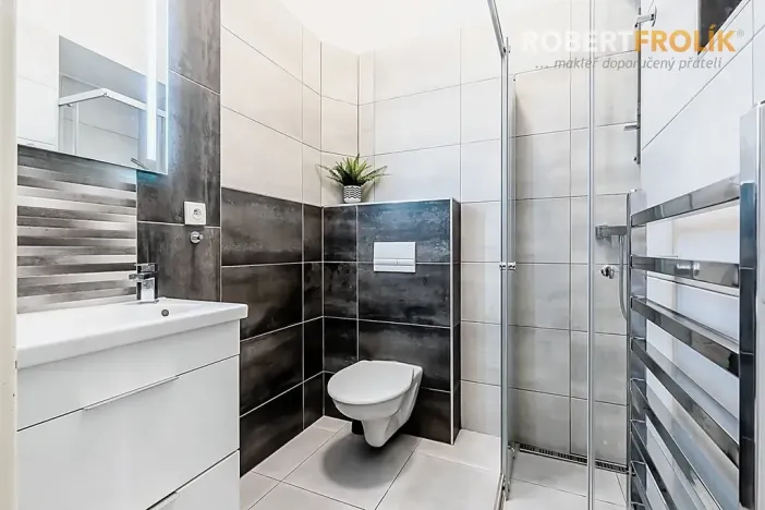 Pronájem bytu 1+1, Praha - Bubeneč, V. P. Čkalova, 55 m2