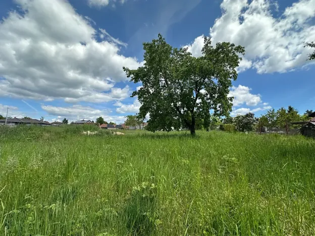 Prodej pozemku pro bydlení, Loučeň, Spojovací, 1321 m2